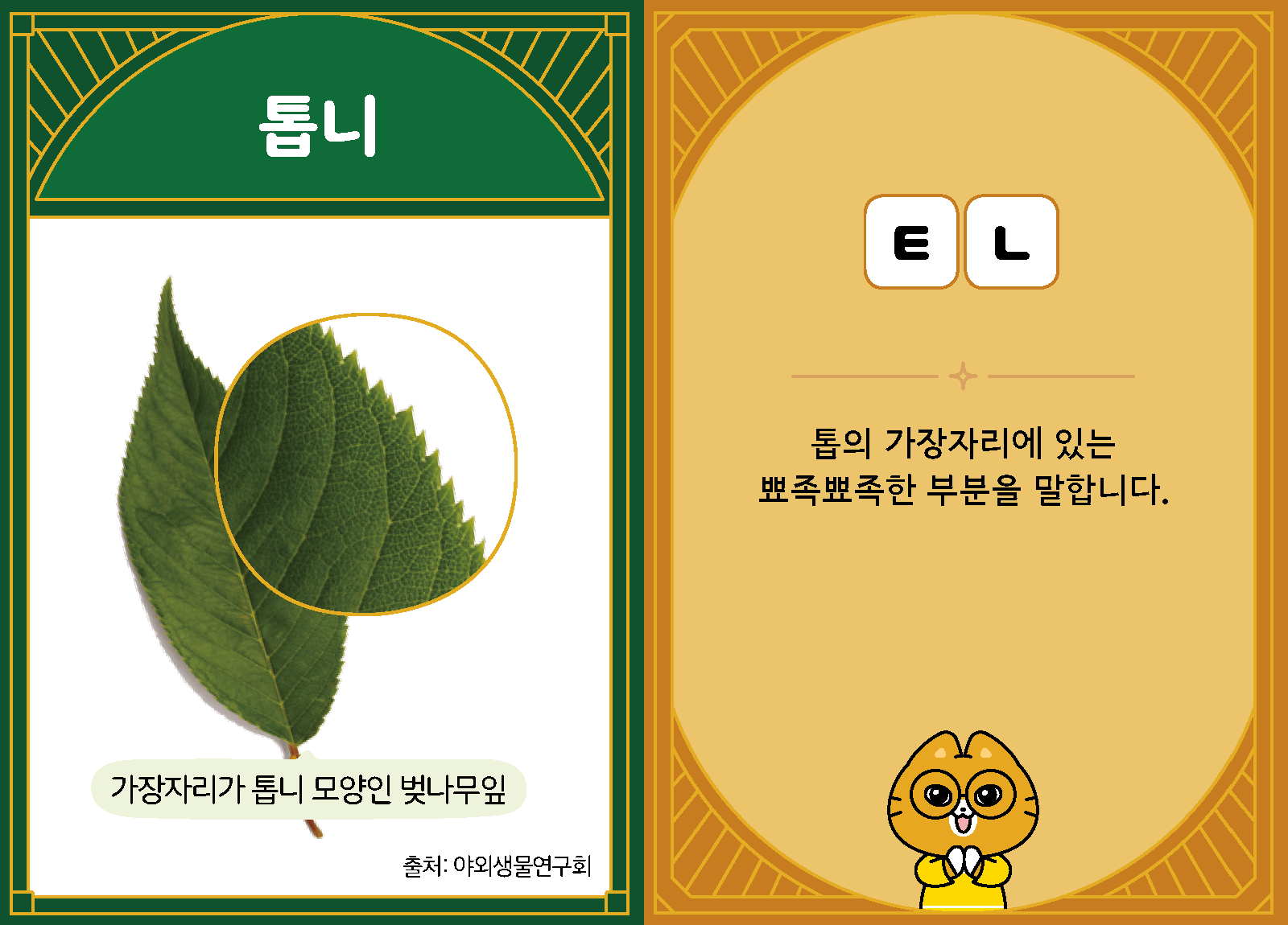 과학3-1-20-톱니