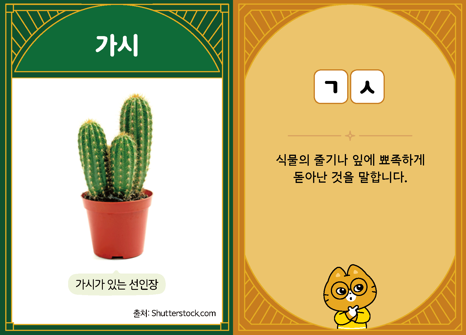 과학3-1-22-가시