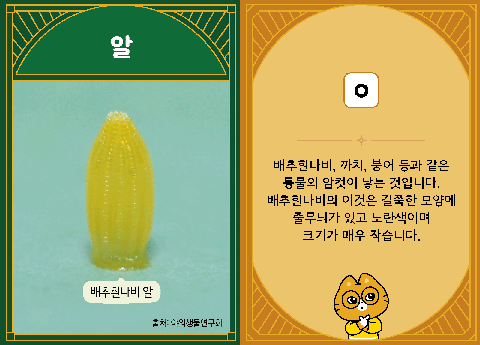 과학3-1-25-알