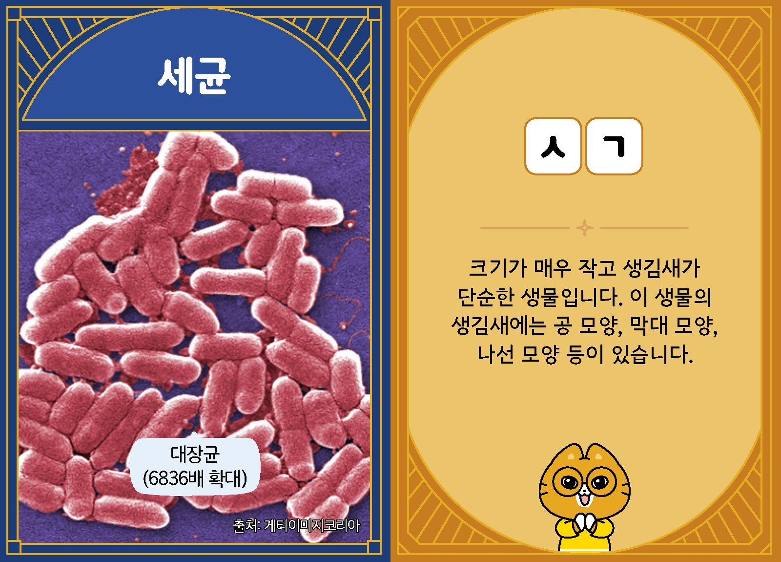 과학4-1-31-세균