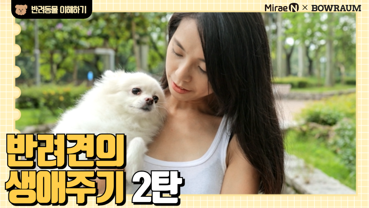반려견의 생애주기 2탄